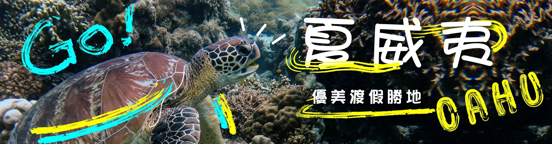 XO Tours 夏威夷旅遊團 (Hawaii)